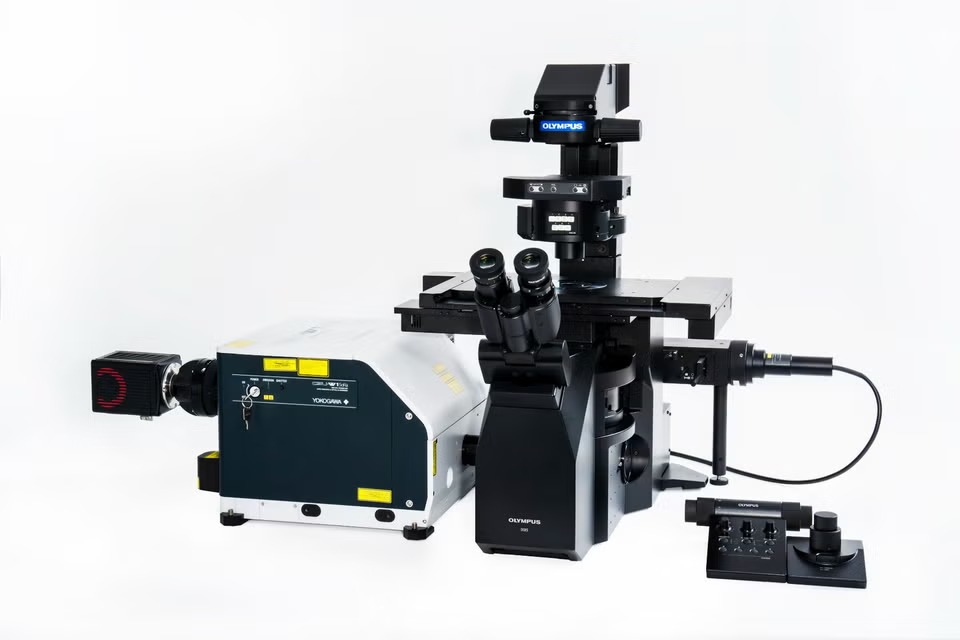 IXplore Spin
